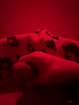 Tazo695n Webbikameraesitys