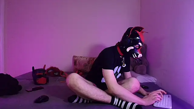 K9_GoodBoyのウェブカメラショー