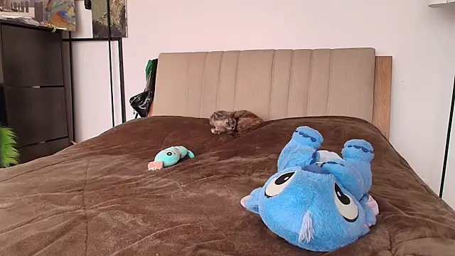 nth-li 라이브 XXX 채팅