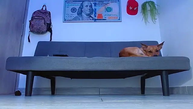 boss_of_cash Live XXX Chat