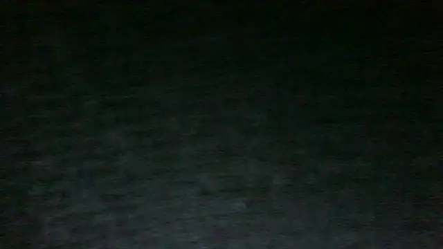 Show Webcam de chichoplus