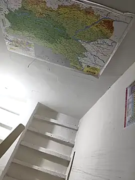 _Stripchat_Owner_のウェブカメラショー