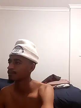 Show webcam de gemini_loops