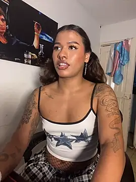 Show webcam de cam11_07