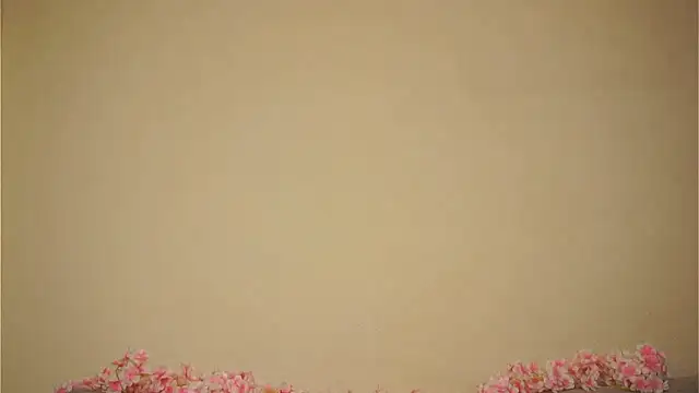 ToyaPletz Live XXX-Chat