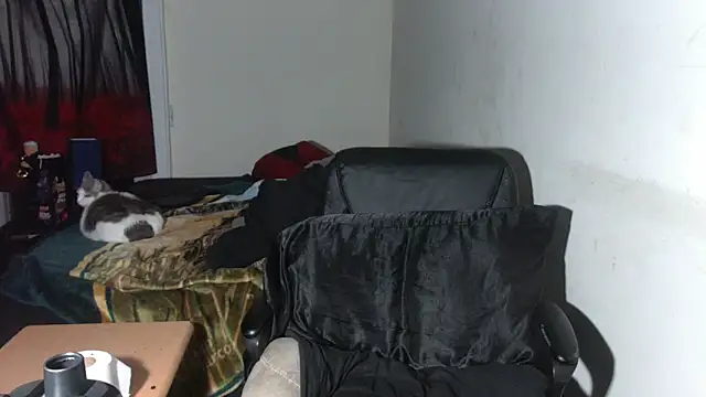 RickStone51 webkamerás műsora