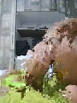 Вебкам-шоу vane_0924