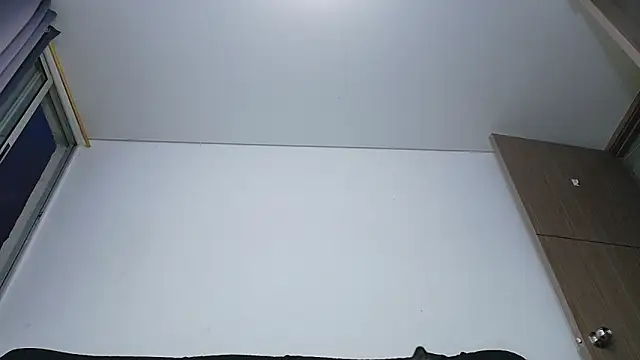 Party_Straight 网络视讯表演