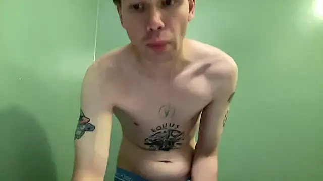 Show webcam de Mikeswanston