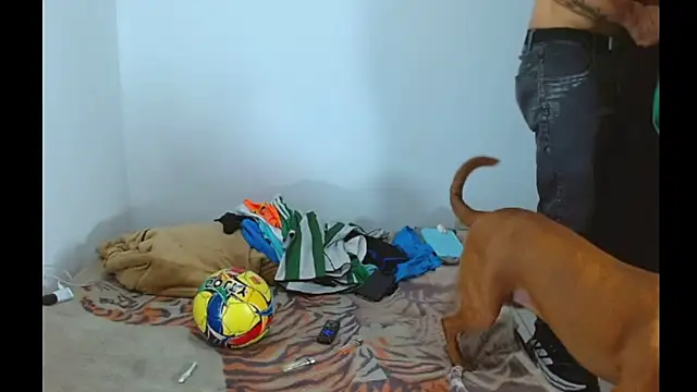 Alphamaster_92's Live XXX Chat