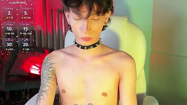 Show de webcam de AndyWiilliams