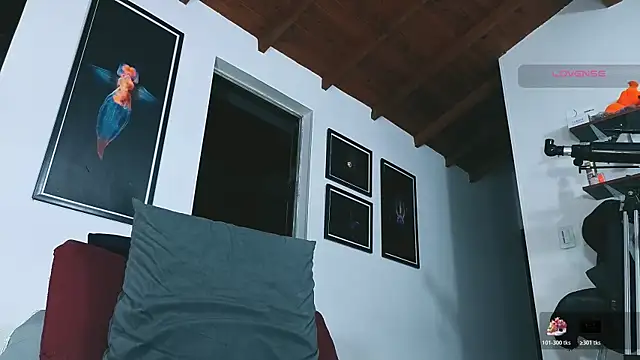 Pokazy przed kamerką – SilvaBranko