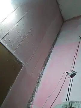 Онлайн чат XXX cobrosdepagos