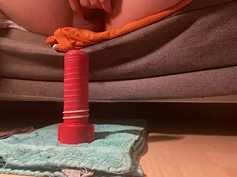 Show webcam de mesetti