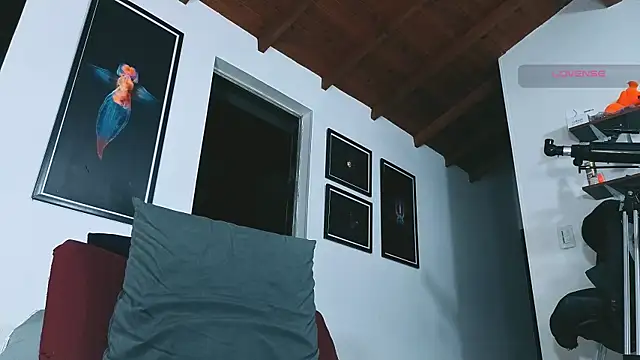 SilvaBranko 在線直播表演