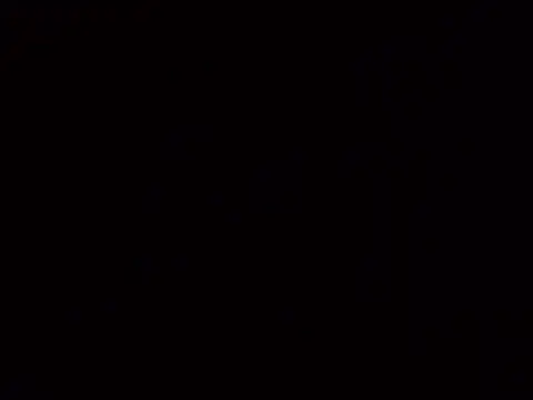 Misterymem63 webkamerás műsora