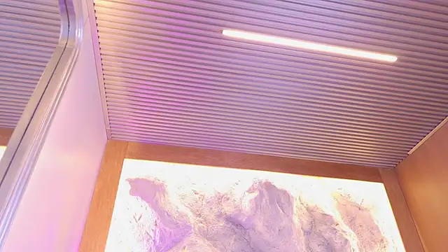 Stellaciel_ Live XXX-Chat