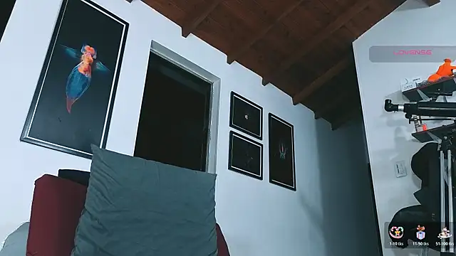 Pokazy przed kamerką – SilvaBranko