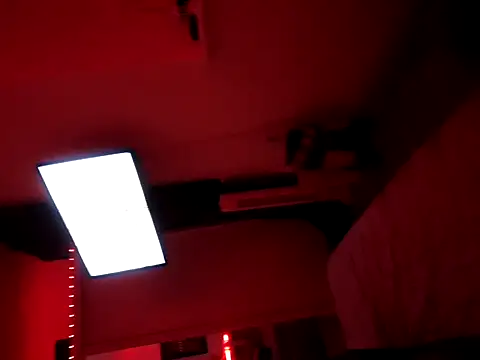 TransandBoy Show Webcam