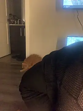 holyeroticss Webcam show