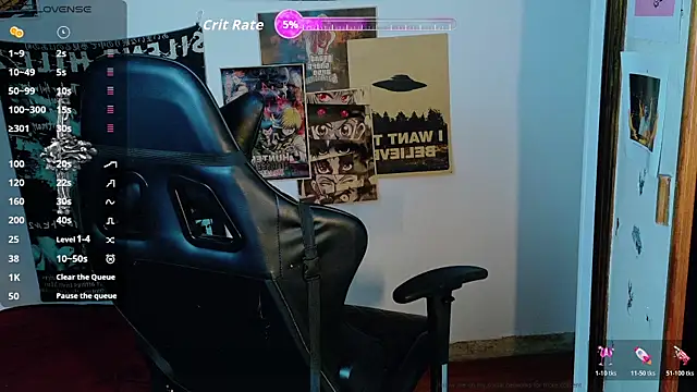 Show webcam de sai_l01