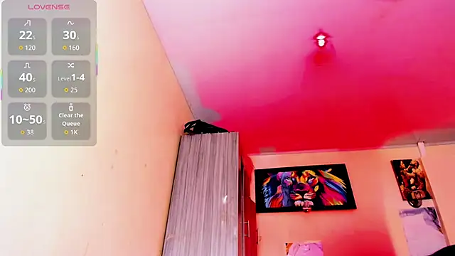 Rossedewitt_n Webbikameraesitys