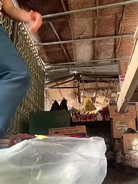 BellaCherishDarling: вебкам-шоу