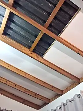 Pertunjukan Kamera Web Blackforest10