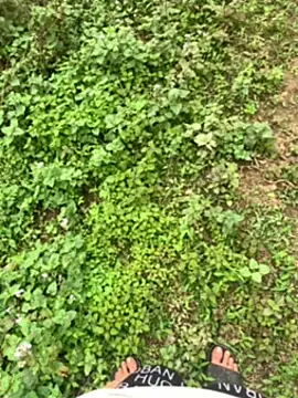 ngoccc-nga 网络视讯表演