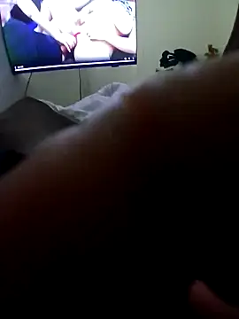 handsome8inchhn Webbikameraesitys