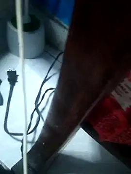 Wero4200 Webcam-Show