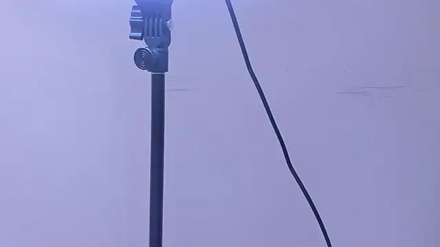 Вебкам-шоу Amadeo_D