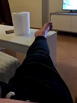 Show webcam de t-dog26