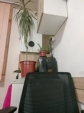 AdaJoy live XXX chat