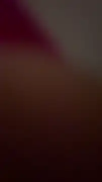 petuletran Webbikameraesitys