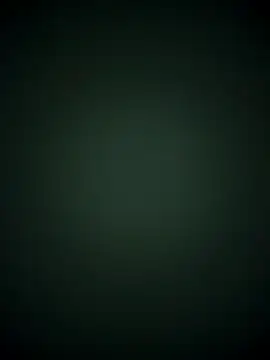 TheDime: вебкам-шоу