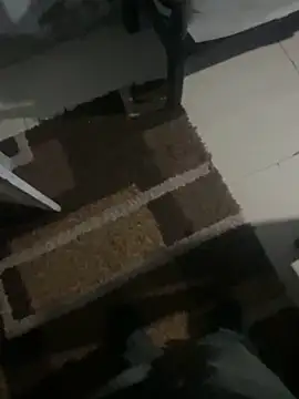 แชท XXX สดของ Boyxcock7