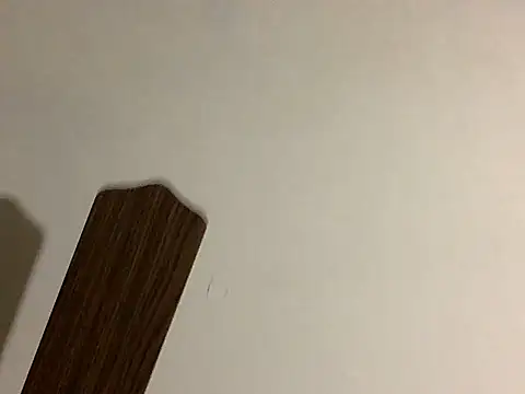 DorkNextdoorのウェブカメラショー