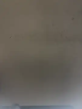 SLNatasha Chat XXX in diretta