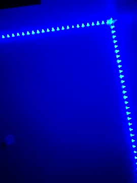 โชว์เว็บแคมของ hormoneactivated