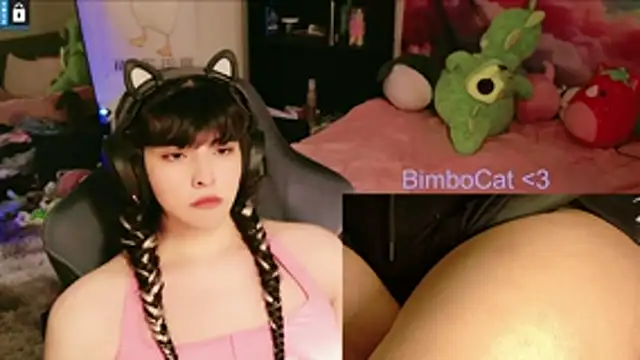 BimboCat 라이브 XXX 채팅