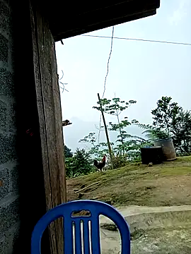 kalara_kail's Live XXX Chat