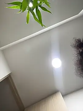 Curlyierr élő XXX-chatje