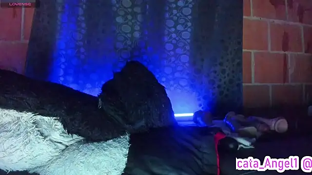 Cata-angel 现场XXX聊天