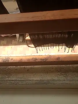 Chat +18 de Gujjuuboys ao vivo