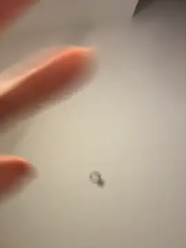 kamivolkano Webcam Show