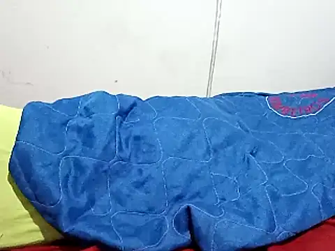 wel9238's Webcam Show