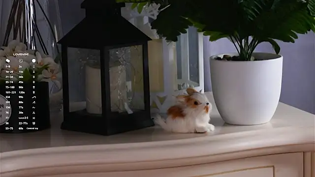 Chatroom XXX en direct de MonaEldon