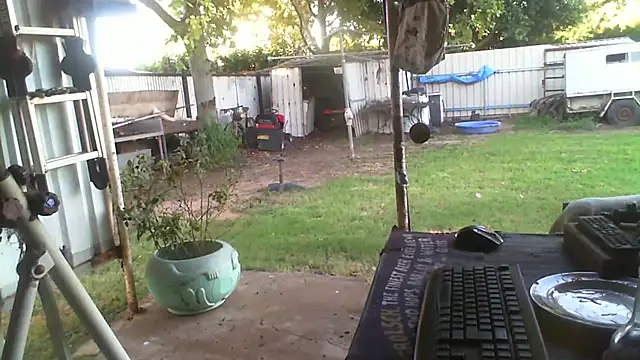 herbie010666 Live XXX-chat