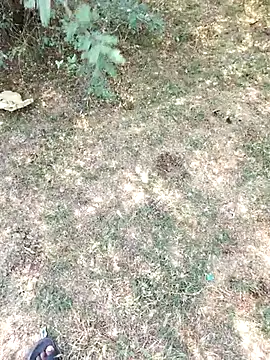 rameshmry1: онлайн-секс-чат